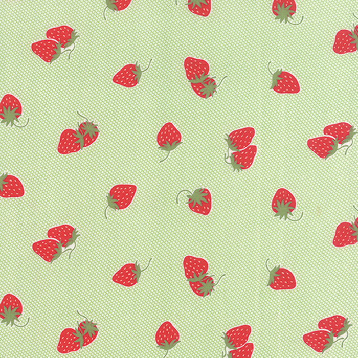 Hello Darling Multi (  ) cotton quilting fabric