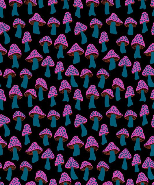 Darlings 2 Mushrooms - Black ( Ruby Star Society ) cotton quilting fabric