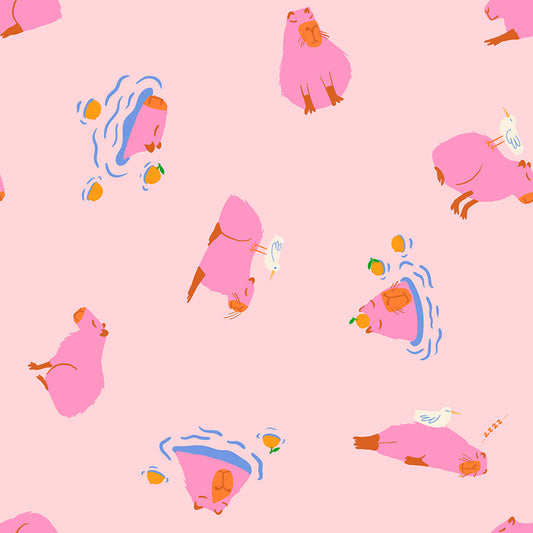 Animal Animal Capybara - Cotton Candy ( Ruby Star Society ) cotton quilting fabric